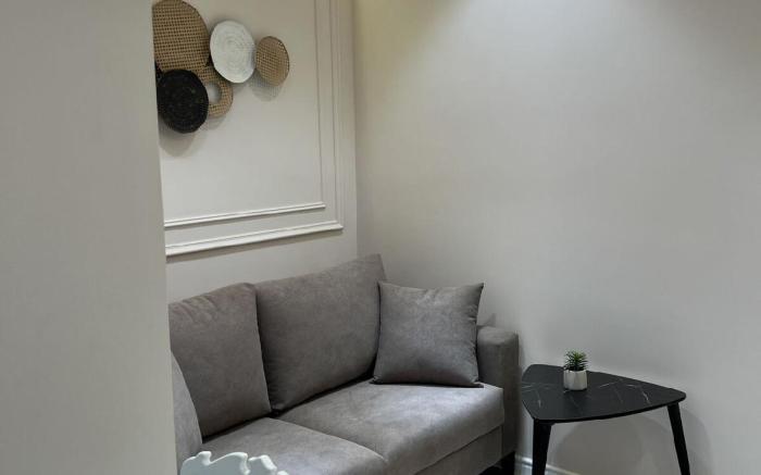 Luxurious Central Baku Apartment