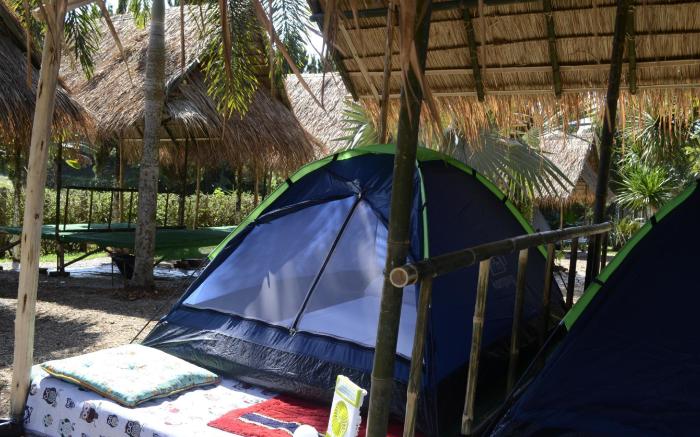 Tent Stay in Chiang Rai