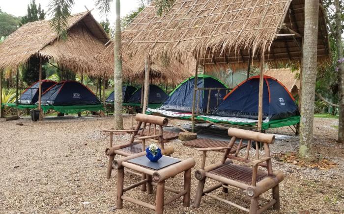 Tent Stay in Chiang Rai