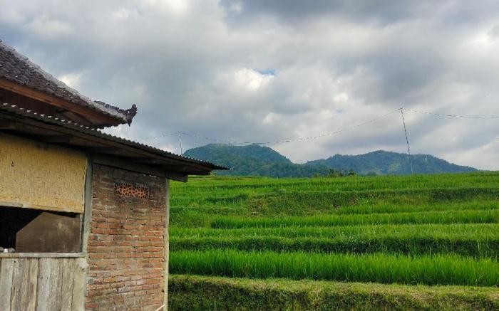 Pondok Pengaringan Loon