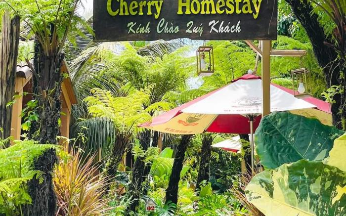 Cherry homestay.bmt