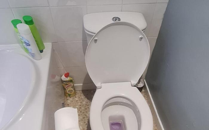 Westfield Apartments