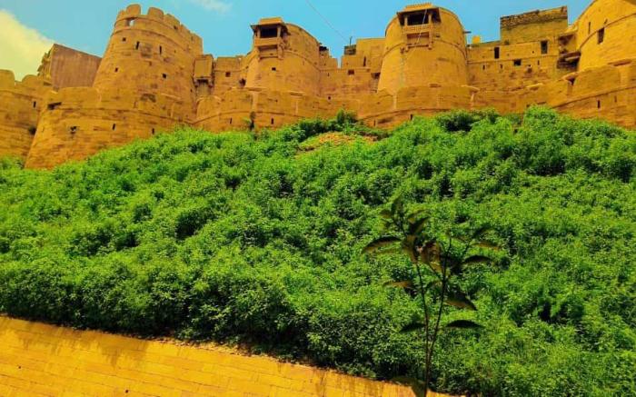 Jaisalmer Tofu safari