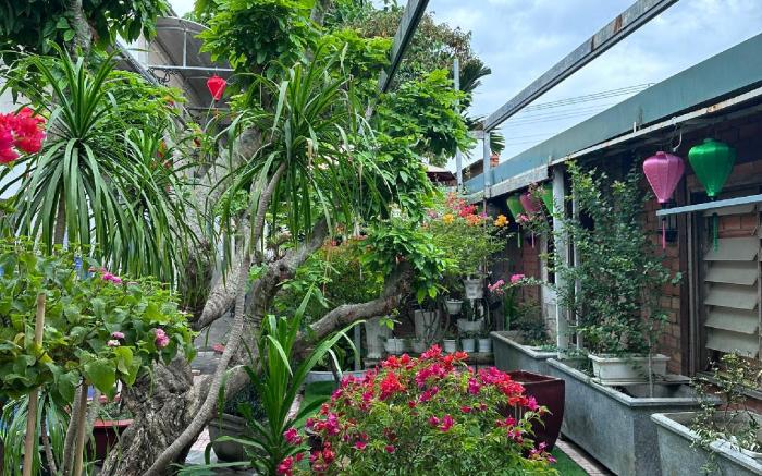 Homestay Mai Ngọc Tây Ninh