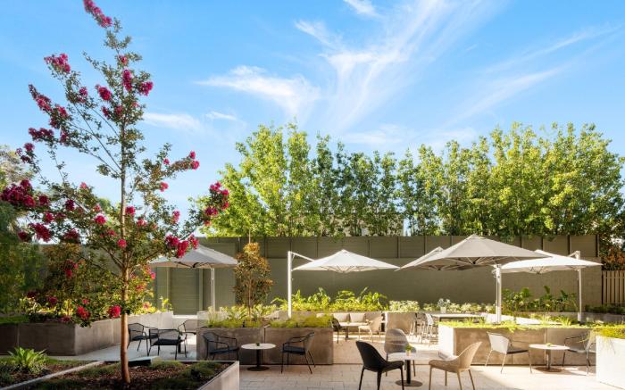 Majestic M Suites