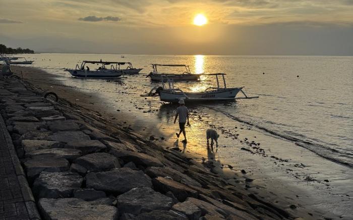 RumiBumi - Lovina Rice Terrace Retreat