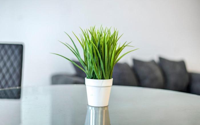 Stylish 2-Bed Apartment, sleeps 6 in Stratford E15