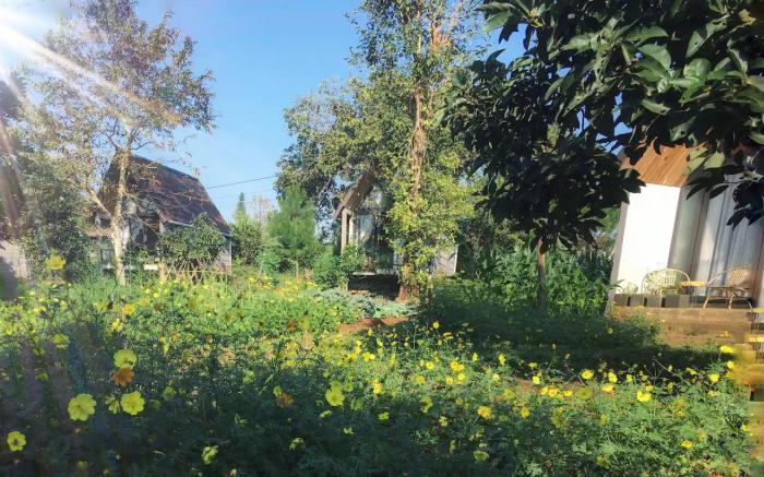 Buon's Garden