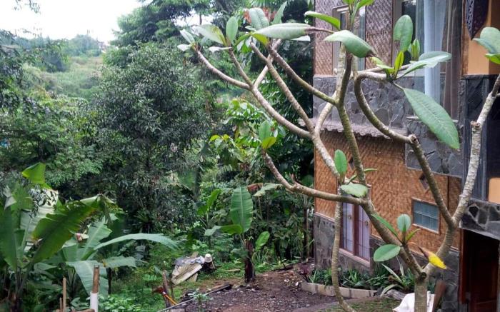 Saung Jiddah 3 BR - 15 tamu - Cisarua Puncak Bogor