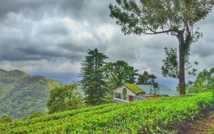 Mount Valley Resort - A Secluded Getaway