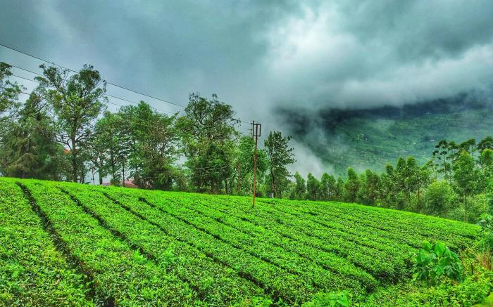 Mount Valley Resort - A Secluded Getaway