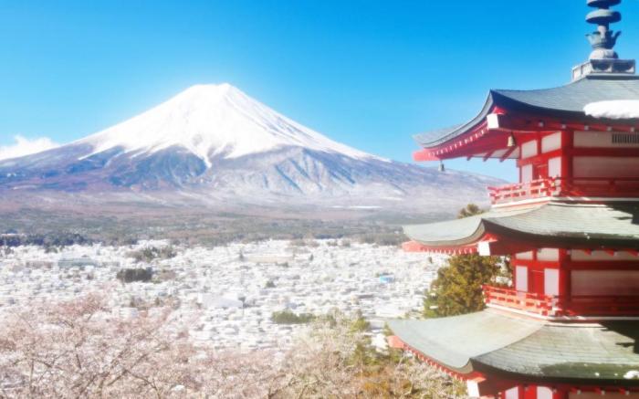 Erable Mt.Fuji "Zen"