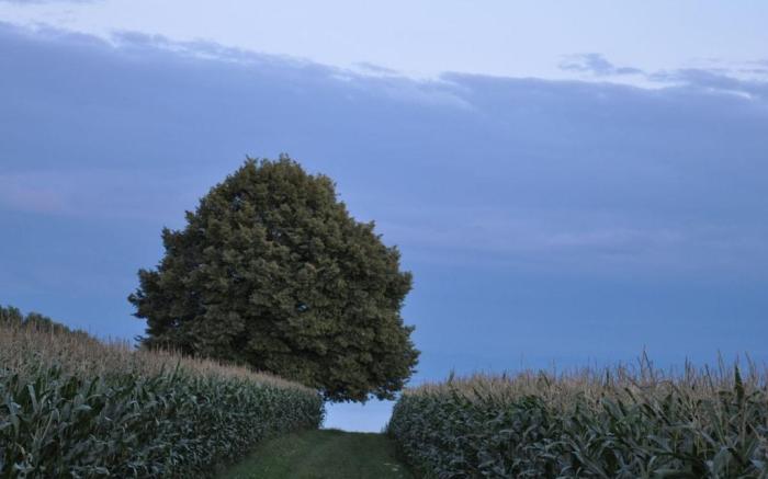 Oak Modern retreat in Uberlingen