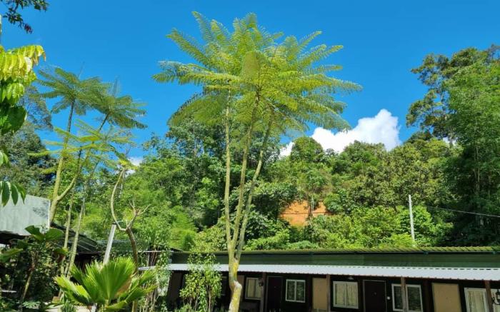 Rock Forest Chalet