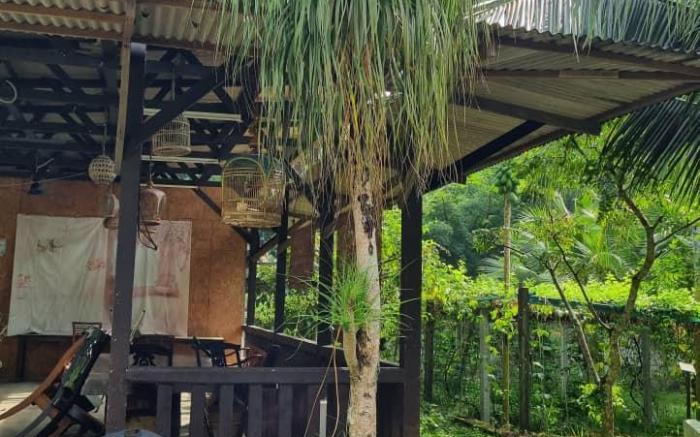 Rock Forest Chalet