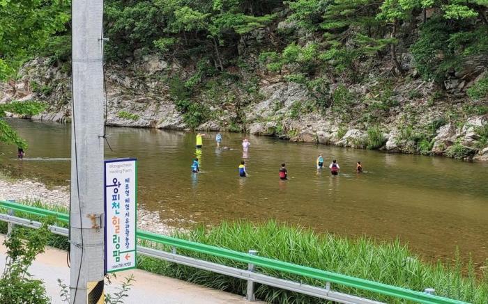 Uljin Wangpicheon Healing Farm