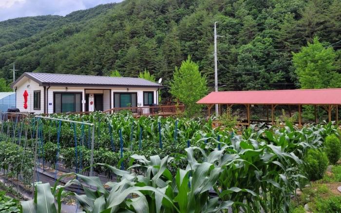 Uljin Wangpicheon Healing Farm