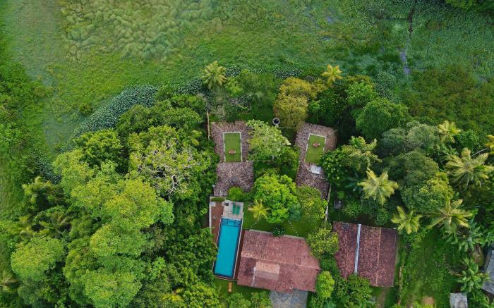 The Jungle Loft 