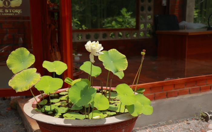Homestay Nhà Của Gió
