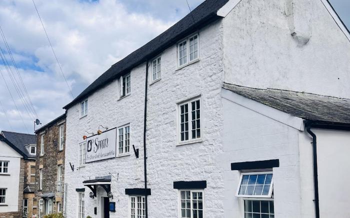 The Swan