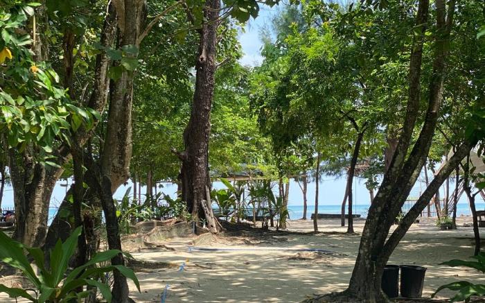 Beachfront Cabin Casa Anika for 16pax