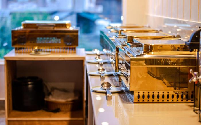 SURAL VALLEY HOTELS, Manali