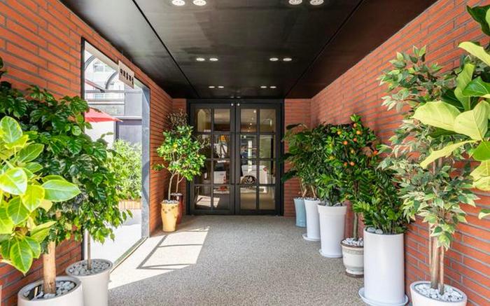 Brown Dot Yuseong Hot Springs Branch