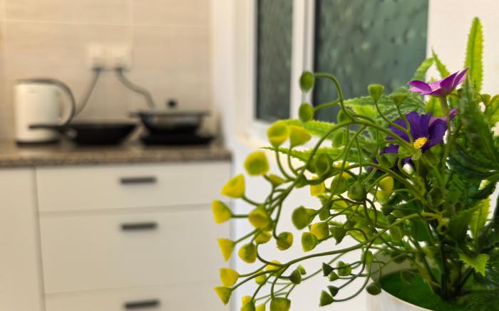 Langkawi Simfoni Cassia Suite 09 9pax