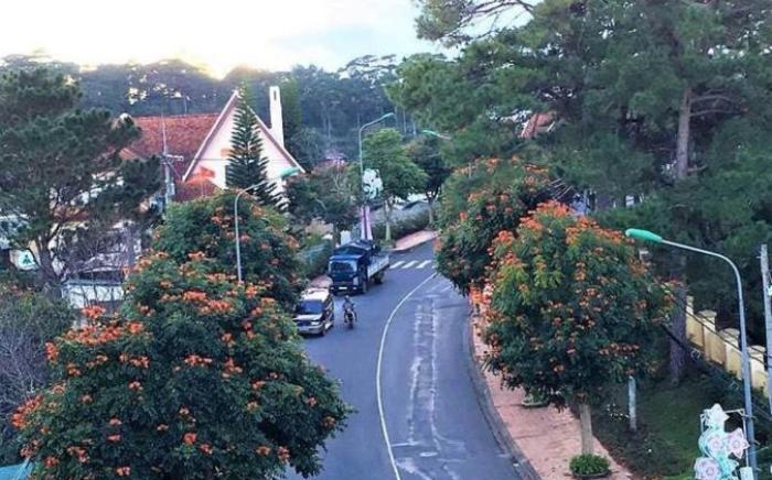 Flower Hill Hotel