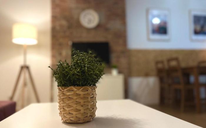 Apartament Gdańsk Śródmieście