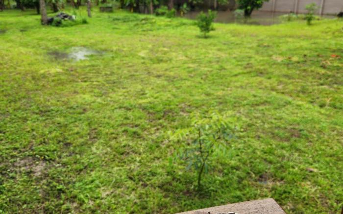 Hindad Nature Resort