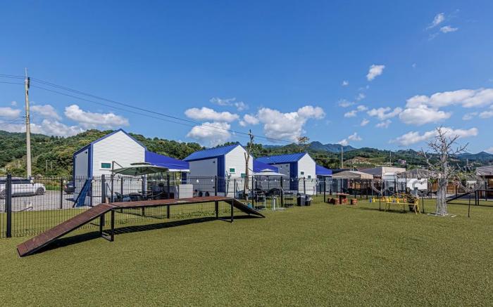 Gapyeong Dogland Dog Caravan Glamping