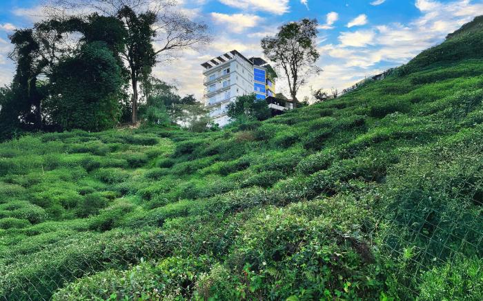 Mount Bashera Boutique Hotel