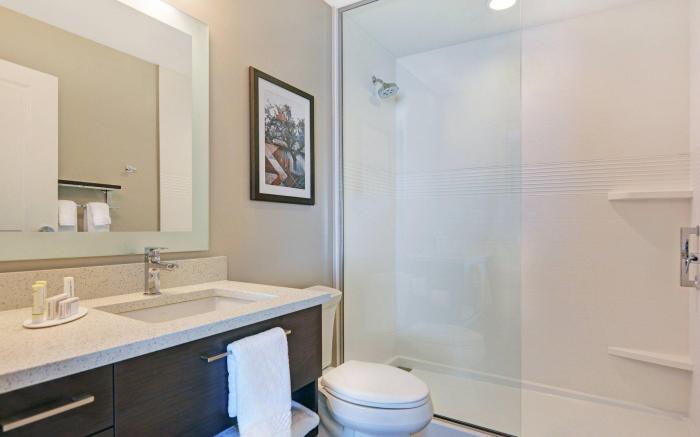 TownePlace Suites by Marriott Jackson Airport / Flowood