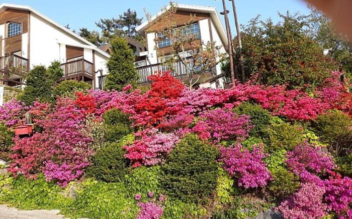 Anmyeondo Haemaru Tourist Farm