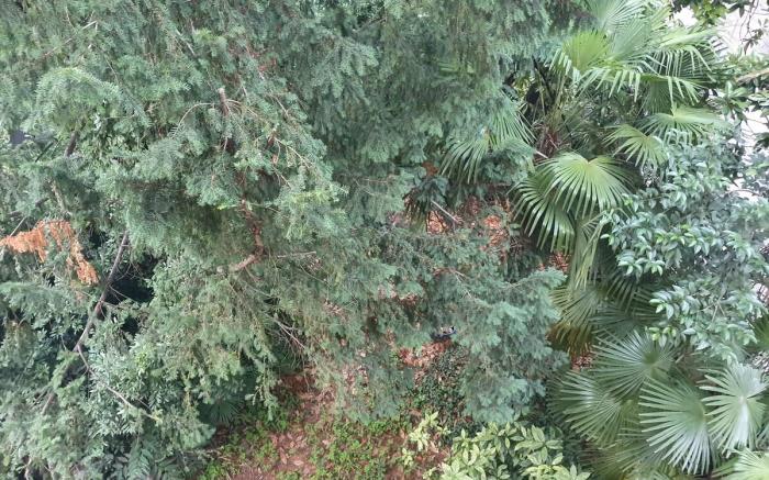 Central Lugano Family Flat LakeView&Garden
