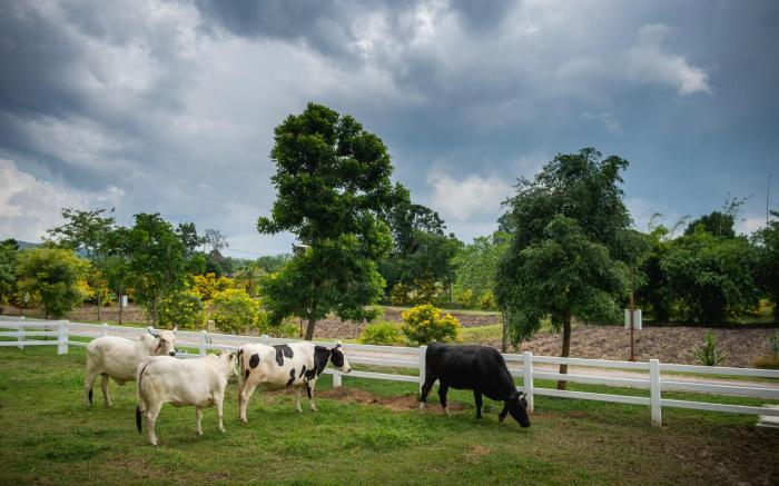 Green Me Organic Farm Stay Khao Yai 