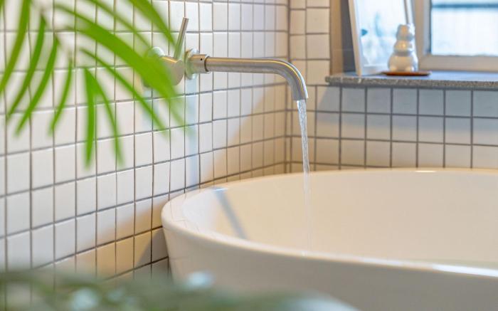 gyeongju planb pet pension