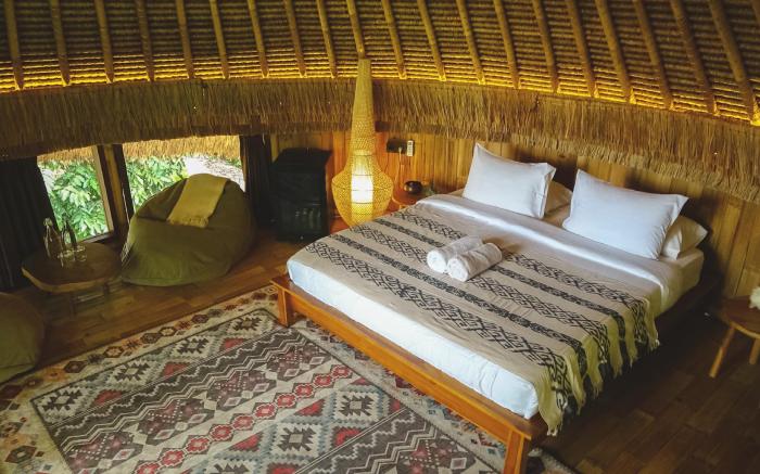 Alpaca Lodge