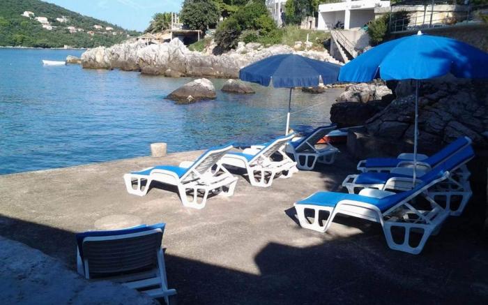 Apartments Rasica Molunat - Basic Studio