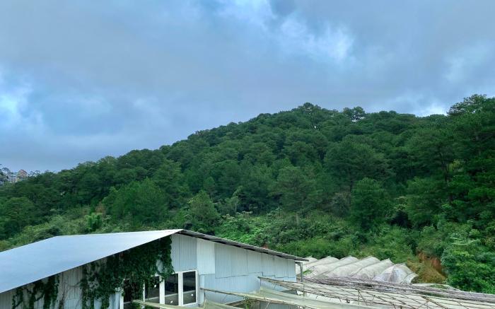 Báo Homestay Đà Lạt