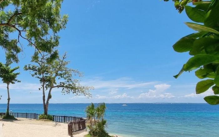 Mactan Newtown Executive Suite - Modern Comforts