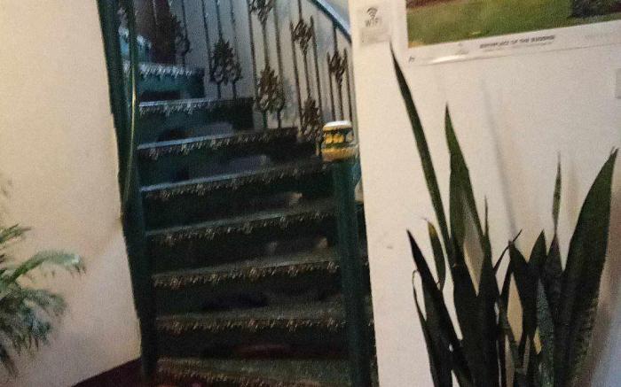 lucky guesthouse