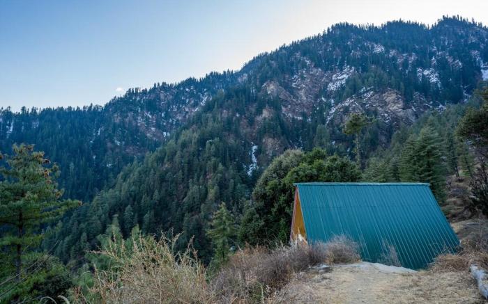 Bastiat Stays | Whispering Pines A-Frame 