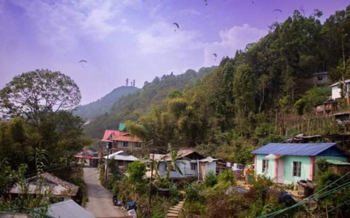 The Black Conch, Homestay 