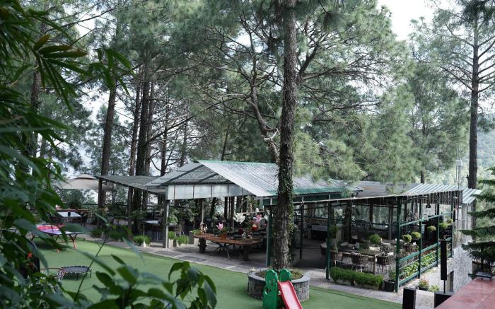 Kasauli Hills Resorts