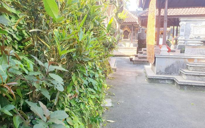 Gana Bali Guest House