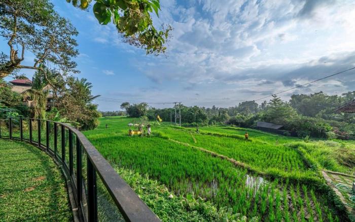 Sola Villa w/Private Pool & Rice Field | Ubud