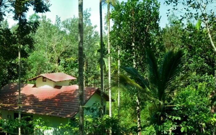 Willow Resorts