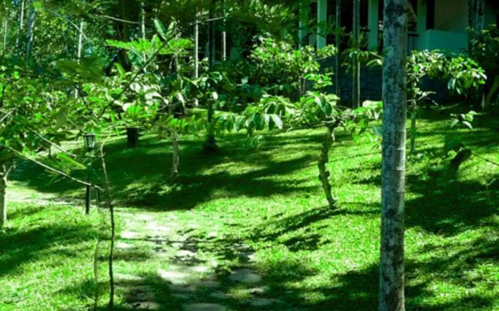 Willow Resorts